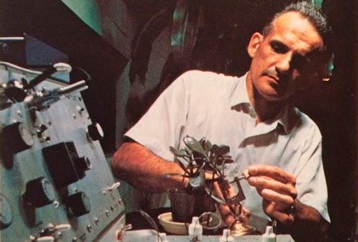 The Mysterious World of Plants: Cleve Backster’s Experiments